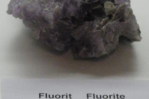 Mineralien-Info 2011 (Sonderschau Fluorit)